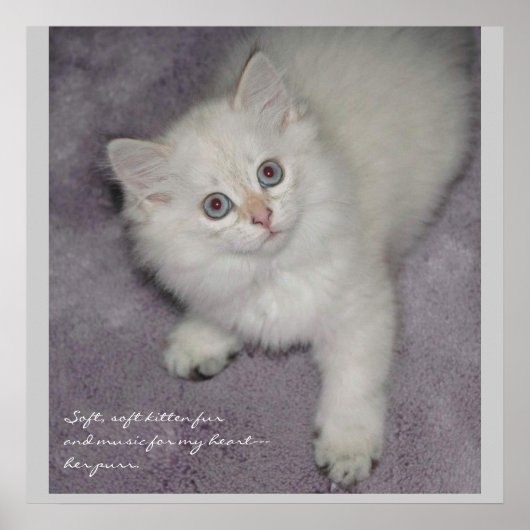 KeukenPoster Poster (Voorkant)