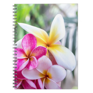 keukenrecept voor orchidee, opal-Hawaiiaanse bloem Notitieboek