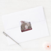 Keukenslaapje in Bowl 2 Vierkante Sticker (Envelop)