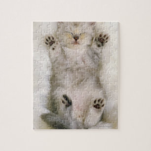 Keukenslaapje op een witte vloertapijt, hoog legpuzzel