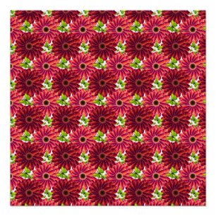 Keurig bloempatroon met vlinders Levendig rood Perfect Poster
