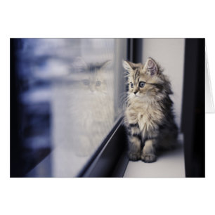 Keuten die uit Venster kijken