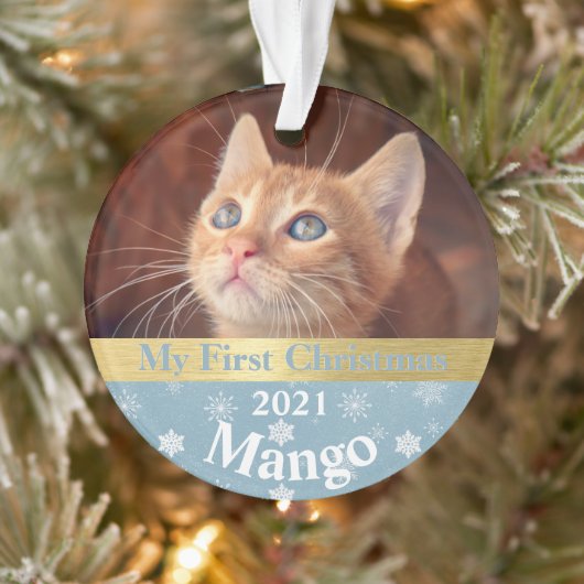 Keuten's eerste kerstfotoornament ornament (Boom)