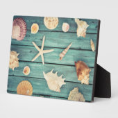 Keuze van de zeeschelpen fotoplaat (Zijkant)