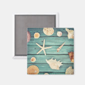 Keuze van de zeeschelpen magneet (Voorkant / Achterkant)