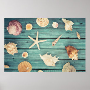 Keuze van de zeeschelpen poster
