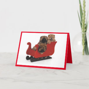 Keuzen die door de sneeuw dashing feestdagen kaart