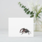 kever briefkaart (Staand voorkant)