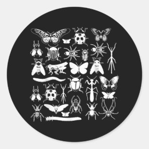 Kever & Bug Verzamelaar - Entomology Insect Ronde Sticker