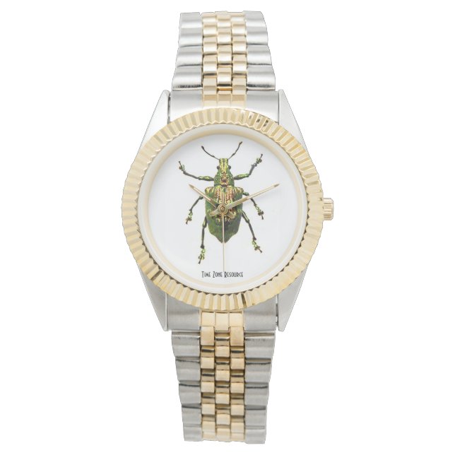 Kever Insect Horloge Sieraden (Voorkant)