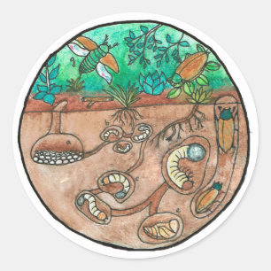 Kever Levenscyclus Sticker