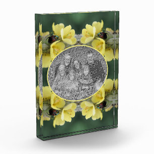 Kever On Wild Mullein Flower Voeg uw Fotoblokken