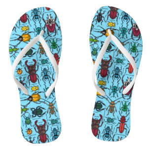 Kever op blauw teenslippers