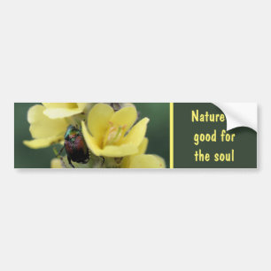 Kever Op Toortsbloem Natuur Is Goed Voor De Ziel Bumpersticker
