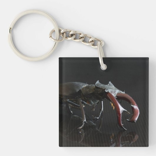 kever sleutelhanger (Voorkant)