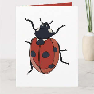 Kevers Insect Lieveheersbeestje Kevers Kaart