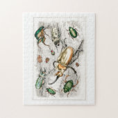 Kevers insecten insecten legpuzzel (Verticaal)