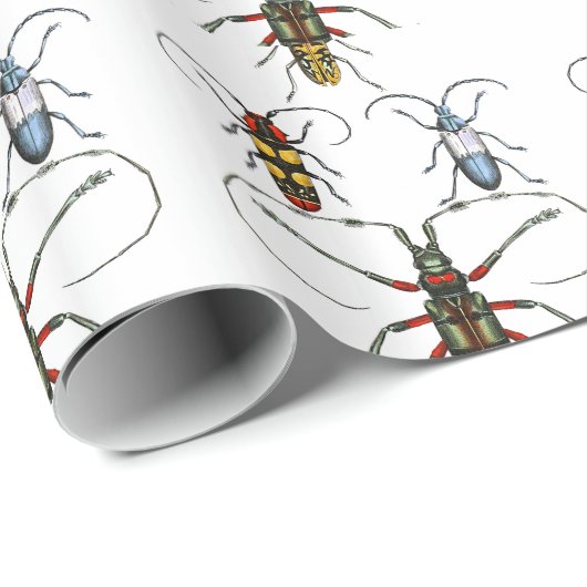 Kevers Papier Wrap (Rol Hoek)