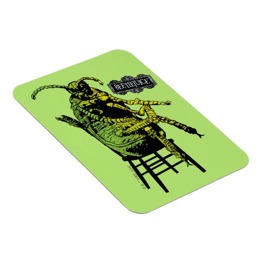 Keversap | Kever in stoel Magneet (Rechterzijde)