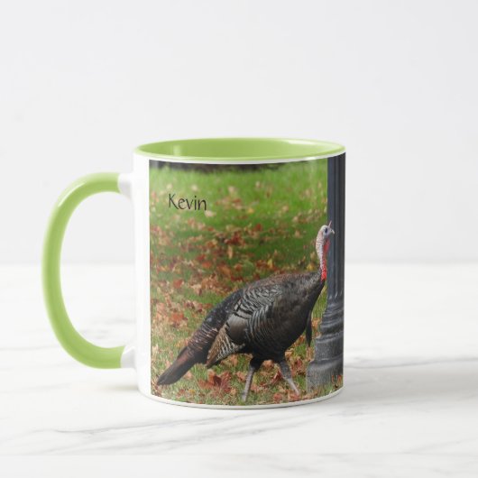 Kevin The Turkey - Old Wethersfield, CT (2 pics) Mok (Links)