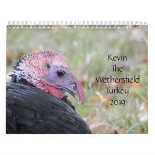Kevin The Turkey - Old Wethersfield , CT Kalender