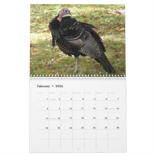 Kevin The Turkey - Old Wethersfield , CT Kalender (Feb 2026)