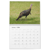 Kevin The Turkey - Old Wethersfield , CT Kalender (Jan 2026)