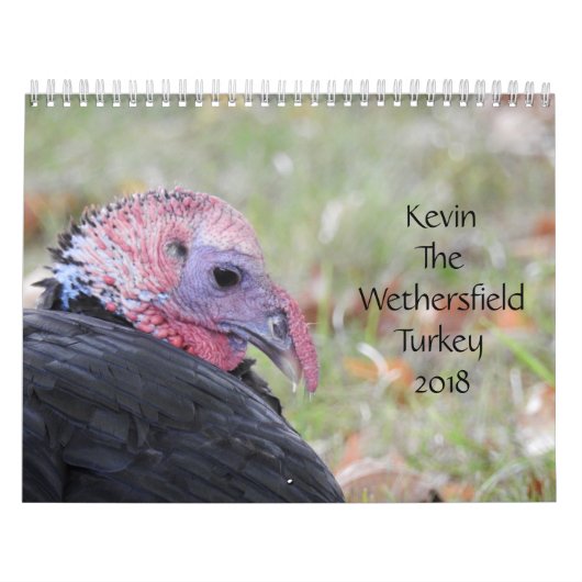 Kevin The Turkey - Old Wethersfield , CT Kalender (Hoes)