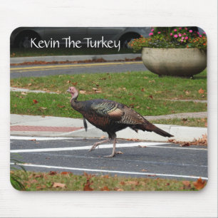 Kevin The Turkey - Old Wethersfield, CT Muismat