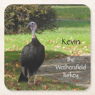 Kevin The Turkey - Old Wethersfield , CT Vierkante Kartonnen Onderzetter