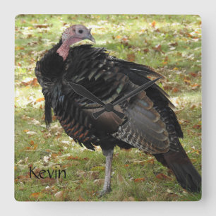 Kevin The Turkey - Old Wethersfield , CT Vierkante Klok