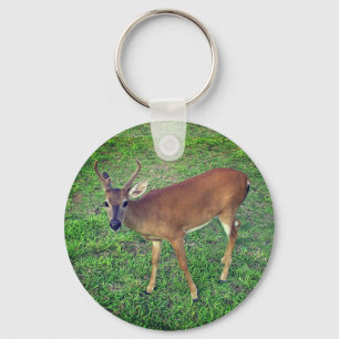 Key Deer Sleutelhanger
