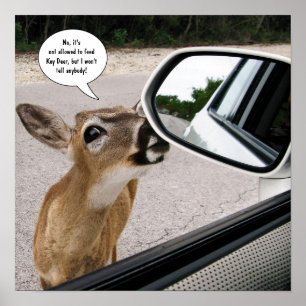 Key Deer-spreken Poster