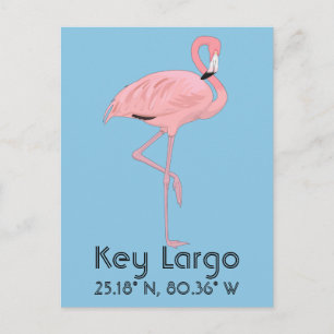 Key Largo FL Keys Flamingo Breedtegraad Lengtegraa Briefkaart