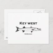 Key West Barracuda Briefkaart (Voorkant / Achterkant)