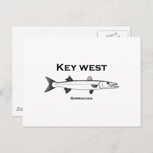 Key West Barracuda Briefkaart (Voorkant / Achterkant)