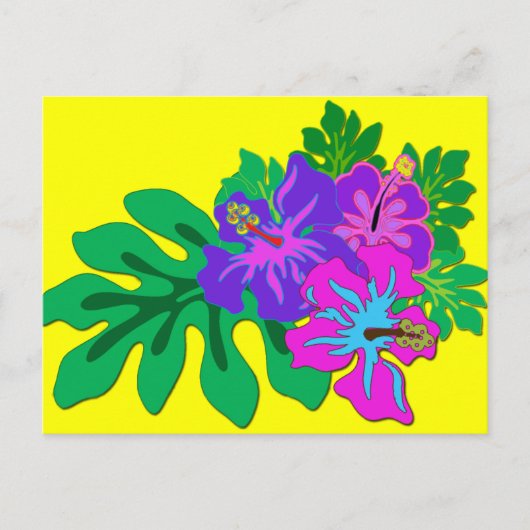 Key West - Briefkaart (Voorkant)