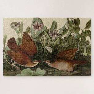 Key-west Dove, Quail-Dove Audubon Birds of America Legpuzzel