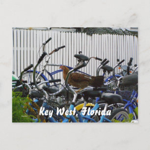 Key West, Florida Briefkaart