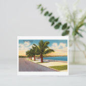  Key West Florida Roosevelt Blvd Briefkaart (Staand voorkant)