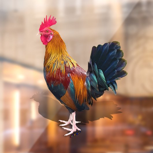 Key West - Gypsy Rooster Raamsticker (Vel 2)