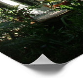 Key West house Poster (Hoek)