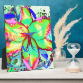 Key West Lily Fotoplaat (Zijkant)