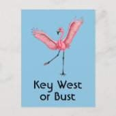 Key West of Bust Grappig Florida Roze Flamingo Briefkaart (Voorkant)