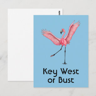 Key West of Niets Lustige Florida Roze Flamingo Briefkaart