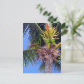 Key West Palm - Carte postale (Debout devant)