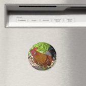 Key West Rooster Magneet (Insitu (Vaatwasser))