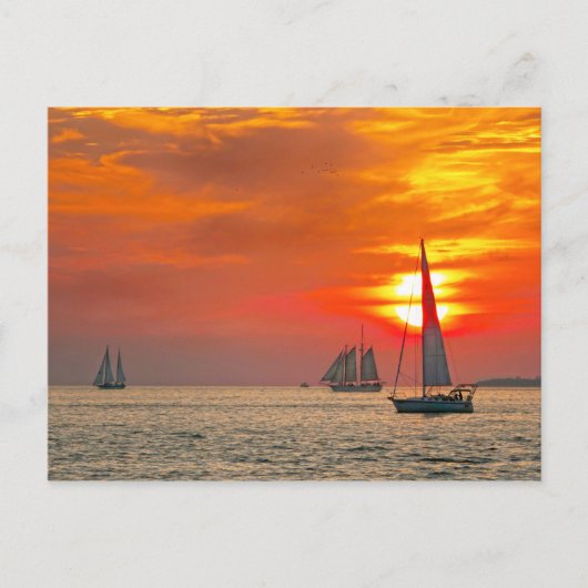 Key West Sailships op Sunset Briefkaart (Voorkant)