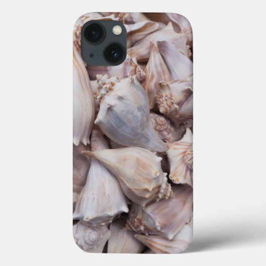 Key West, seizoenshells Case-Mate iPhone Case (Achterkant)