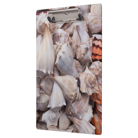 Key West, seizoenshells Klembord (Links)